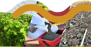 12 Gennaio ore 10 Aula Magna del Crea DC- Evento conclusivo del progetto EcoDif con presentazione dei risultati finali e tavola rotonda sulla fertilità del suolo